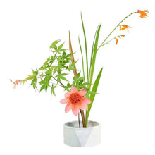 Load image into Gallery viewer, Fuji | Japanese flower arrranging bowl