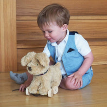 Load image into Gallery viewer, Dexter Dog Pull Along Toy