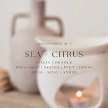 Load image into Gallery viewer, Sea + Citrus Wax Melts