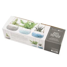 Load image into Gallery viewer, Hanging Pots | Baby Dotty Trio