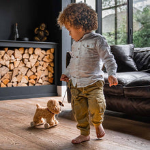 Load image into Gallery viewer, Dexter Dog Pull Along Toy