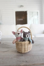 Load image into Gallery viewer, Fred Bear Knitted Toy