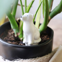 Load image into Gallery viewer, Dog Plant Watering Spike