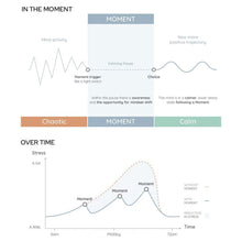 Load image into Gallery viewer, Moment Pebble & Programme