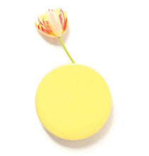 Load image into Gallery viewer, Wall Dot Vase | 3 Colours