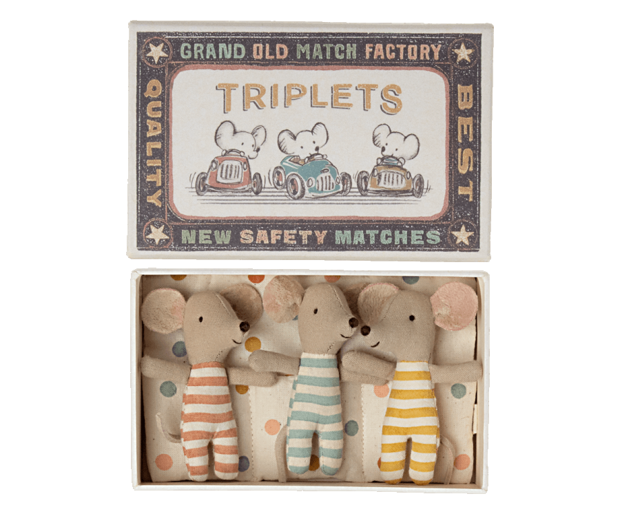 Triplets | Baby Mice In Matchbox