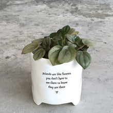 Load image into Gallery viewer, Mini Planter | Friends

