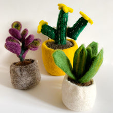 Load image into Gallery viewer, Handmade Needle Felted Miniature Plants
