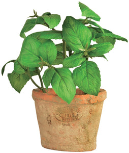 Copy of Rustic Terracotta Plant Pot | Faux Basil