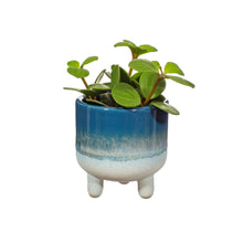 Load image into Gallery viewer, Ceramic Mini Planter | Blue
