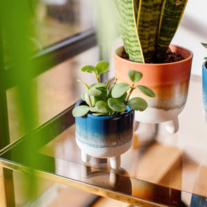 Ceramic Mini Planter | Blue