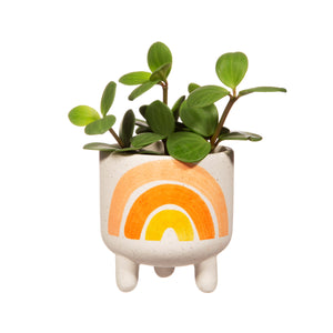 Mini Ceramic Rainbow Planter