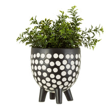 Load image into Gallery viewer, Polka Dot Planter On Legs | Monochrome
