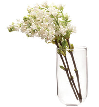 Load image into Gallery viewer, Clear Glass Wall Vase
