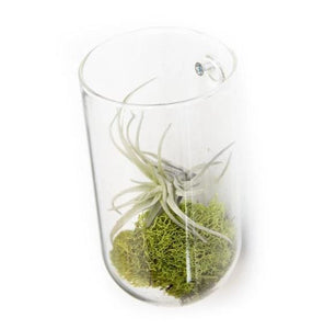 Clear Glass Wall Vase