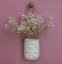 Load image into Gallery viewer, Mini Hanging Basket
